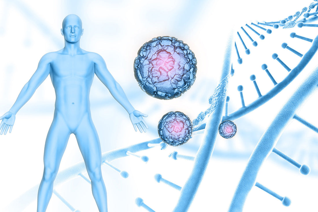 Exosomes VS Stem Cells: Key Differences in Regenerative Medicine