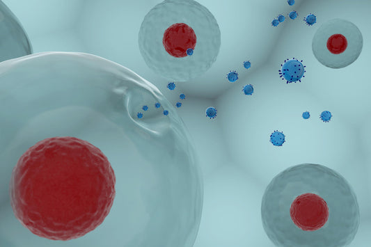 Is Exosome Therapy Safe?