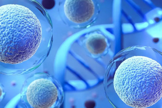 Why Are Exosomes Considered the Future of Regenerative Medicine?